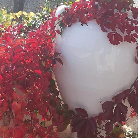 Villa Karmel Valle D'Itria チステルニーノ エクステリア 写真